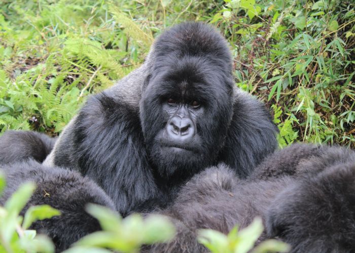 Rwanda